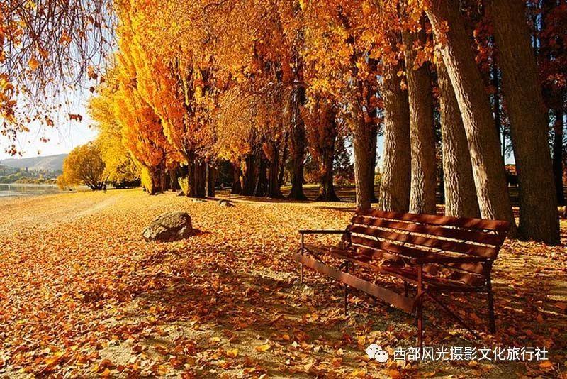 QQ三国