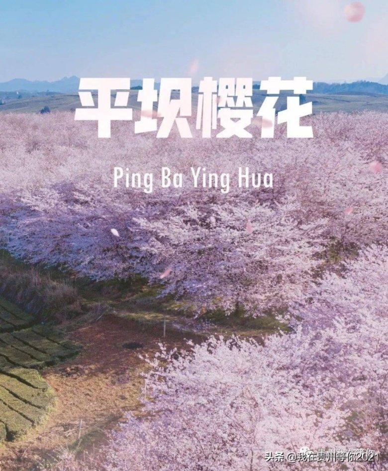 了解知识星球平台-怎样给天枰座写情书的魅力