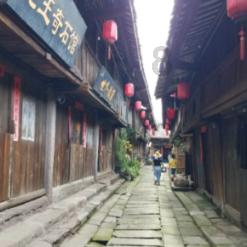 红尾鲶鱼把乒乓球吃了会死吗？